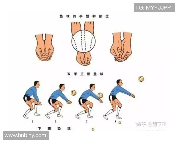 排球新手必看:轻松掌握团队协作技巧与实战策略 排球新手必看:轻松掌握团队协作技巧与实战策略